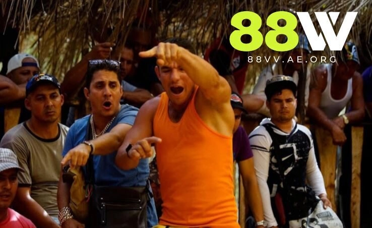 Bản Đá Gà Đòn Là Gì