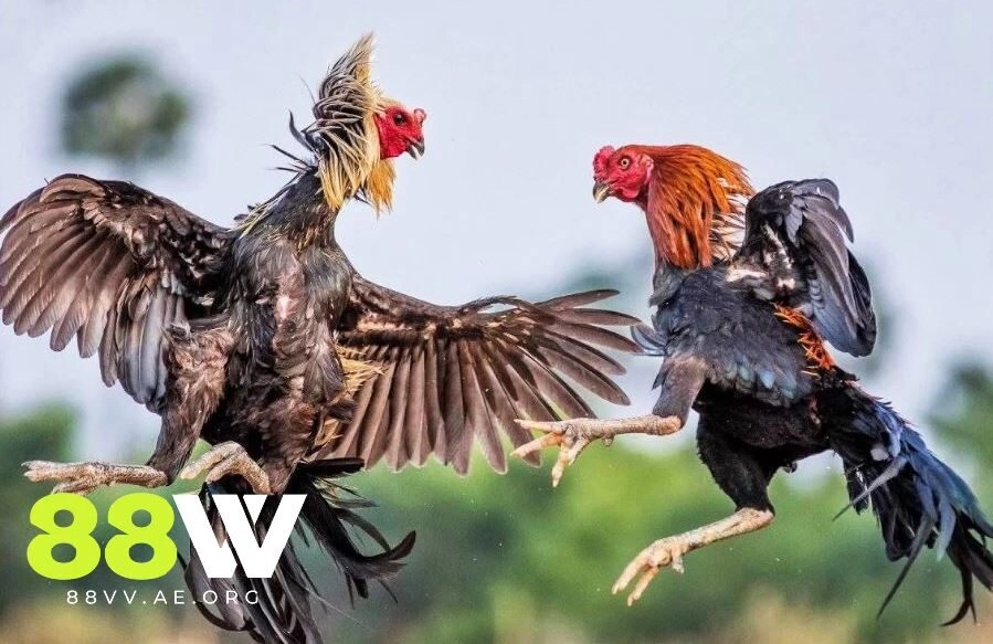 Trải nghiệm kho sản phẩm số lượng lớn mỗi ngày