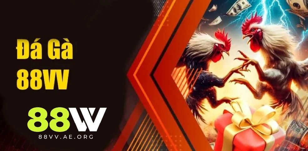 Đá Gà 88VV – Địa điểm giải trí của cược thủ mê chiến kê