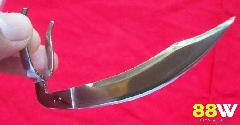 Cựa được sử dụng khi đá gà cựa dao