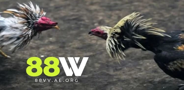 Nguồn gốc và lịch sử