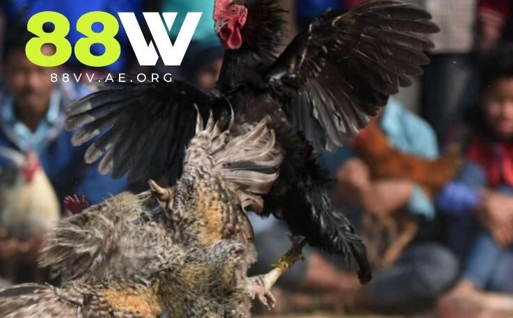 Tinh thần chiến đấu của ô taxi